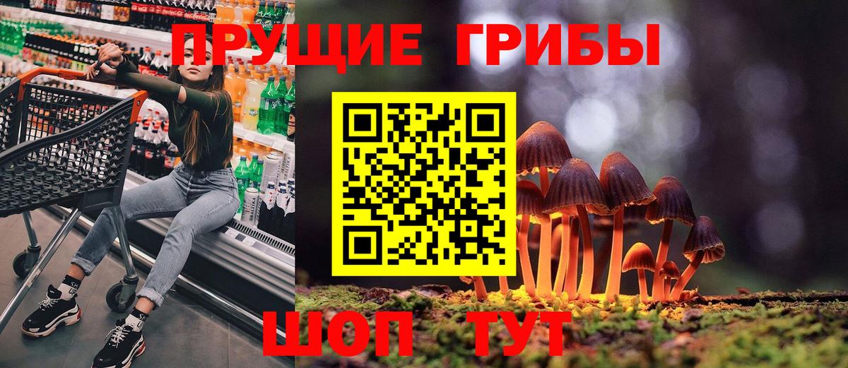 Галлюциногенные грибы прущие грибы Петровск